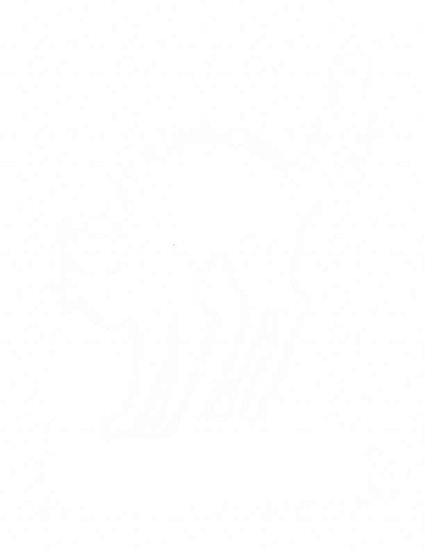 black cat band logo